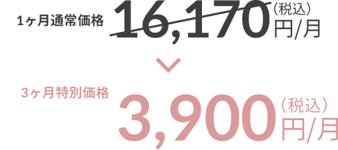 1ヶ月通常価格16,170円（税込）/月→3ヶ月特別価格3,900円（税込）/月