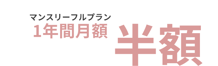 マンスリーフルプラン1年間月額 半額