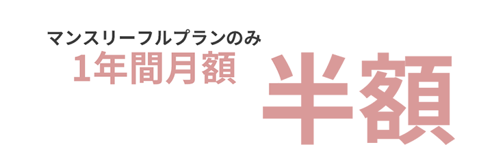 マンスリーフルプラン1年間月額 半額