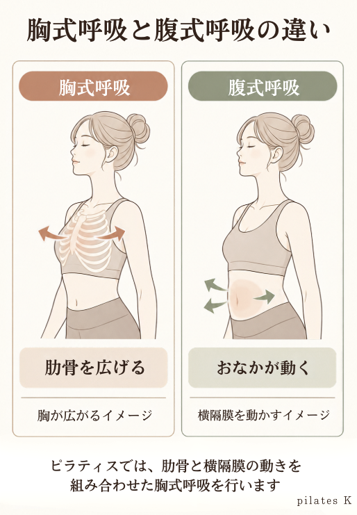 胸式呼吸と腹式呼吸の違いを分かりやすく解説