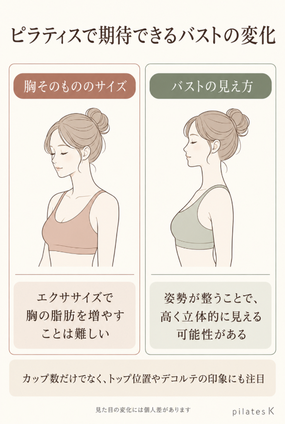 ピラティスではバストアップそのものよりも、姿勢を整えることで高く立体的に見えることがあるということを説明したい図解