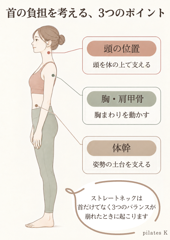 ストレートネックは頭の位置、胸・肩甲骨、体幹のバランスが崩れたときに起こると説明した図解