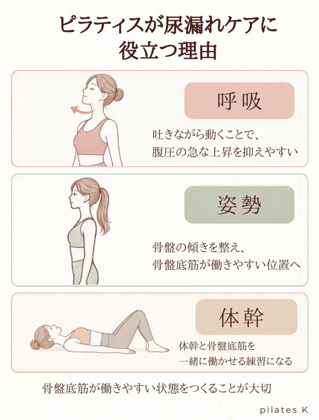 ピラティスが尿漏れに役立つ理由を、呼吸、姿勢、体幹の観点から解説