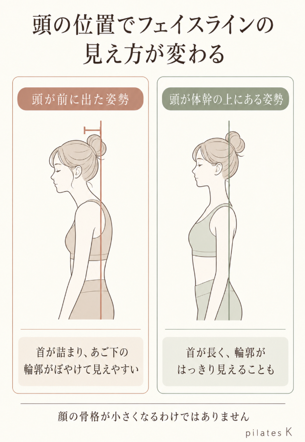 頭の位置でフェイスラインが変わる理由を説明した図解